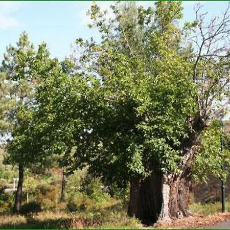 Casa Rural El Castanar Villa *
